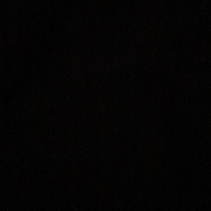 Meet your Posher, Maddy